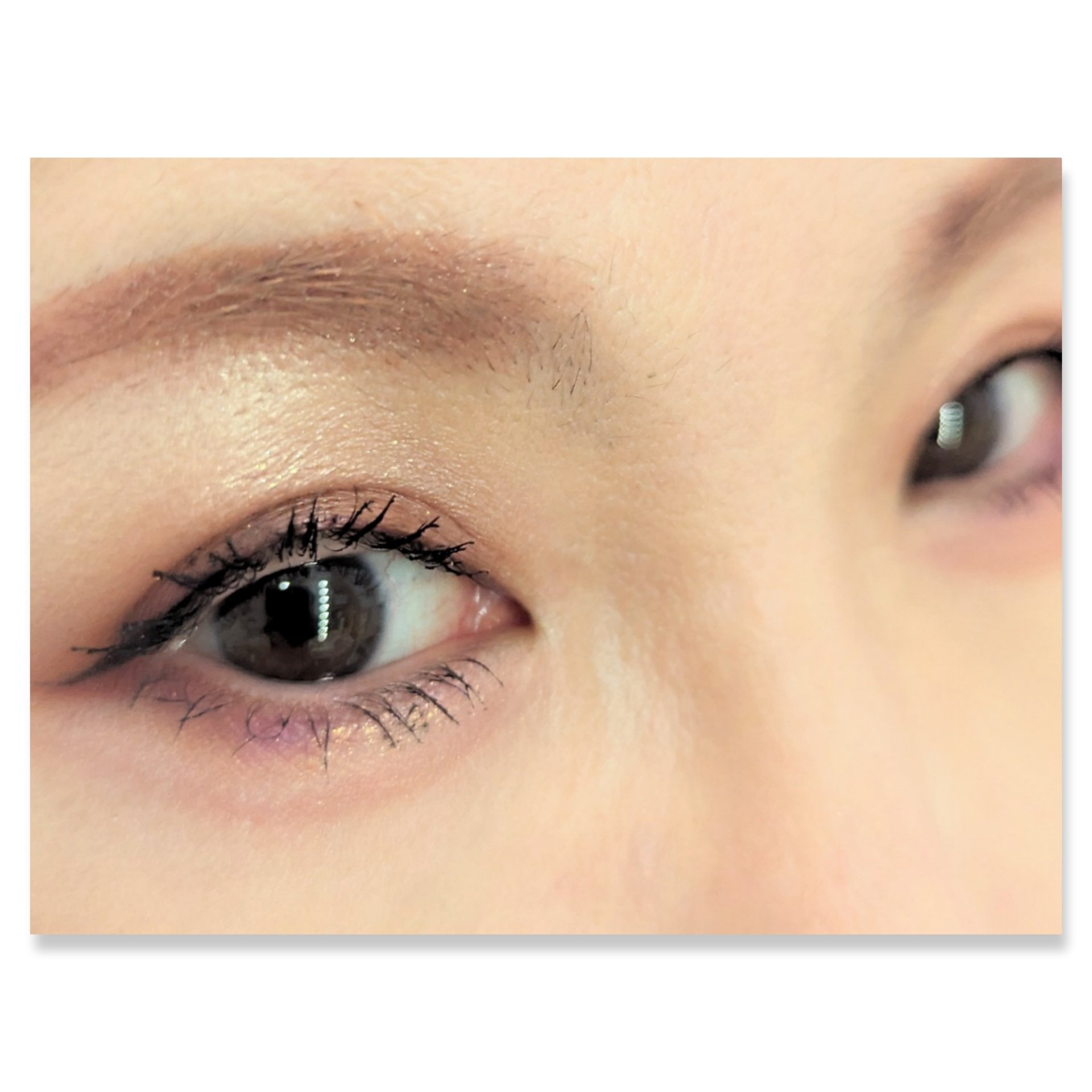 オーラクリエイション 004 プラム＆メタリックウォーム/BLEND BERRY/アイシャドウパレットを使ったクチコミ（2枚目）