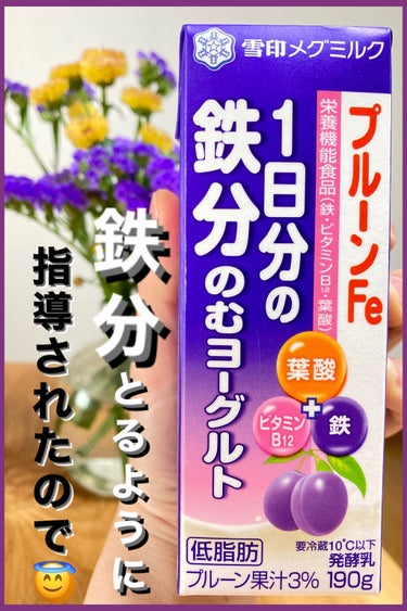 雪印メグミルク プルーンFe1日分の鉄分のむヨーグルトのクチコミ「鉄分足りてないらしい🥲💦
この前、病院で血液検査したら「鉄分足りてないですけど貧血とかフラフラ.....」（1枚目）