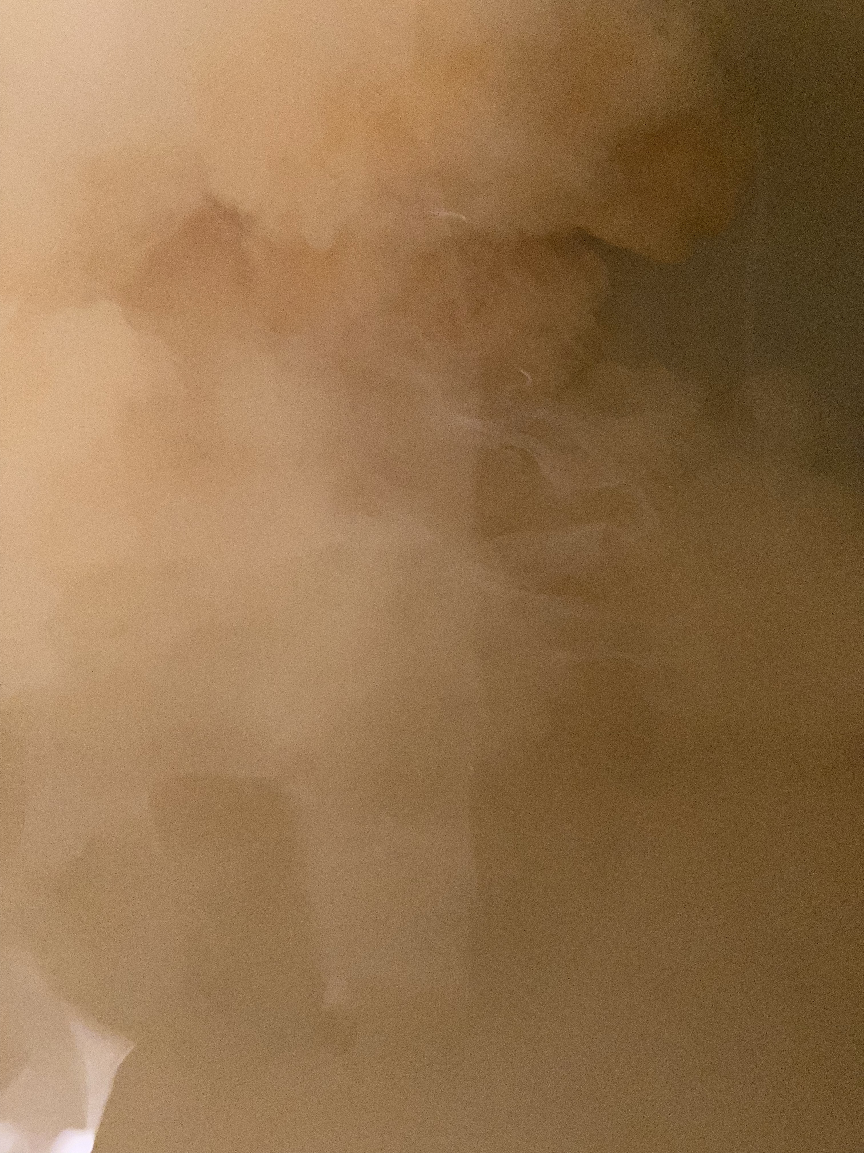 金木犀の香り/爆汗湯/炭酸系入浴剤を使ったクチコミ（3枚目）