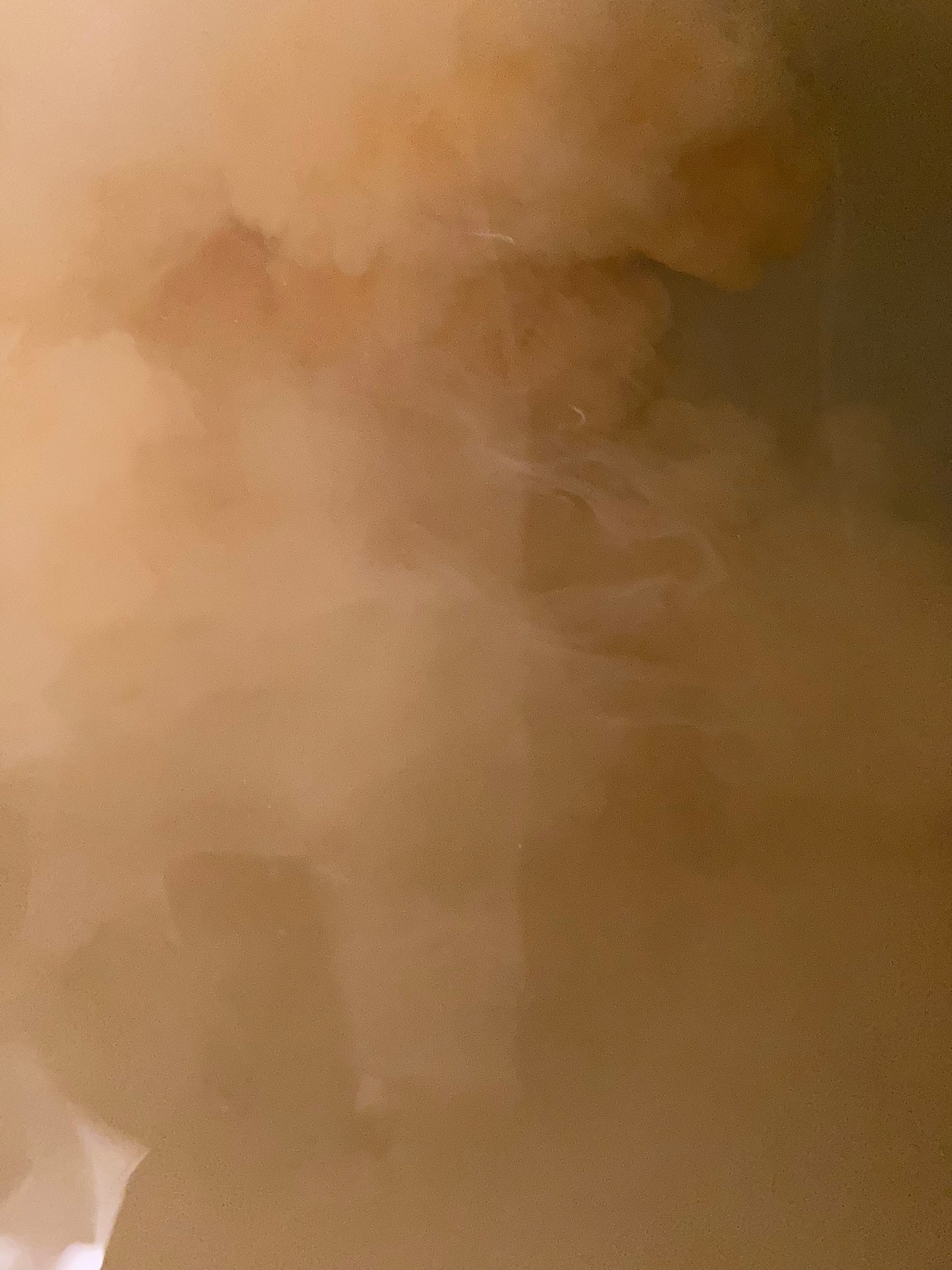 金木犀の香り/爆汗湯/炭酸系入浴剤を使ったクチコミ(3枚目)