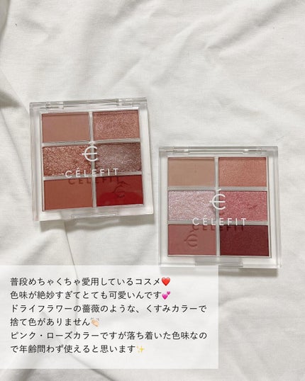 プロアイシャドウパレットセシル/CELEFIT/アイシャドウパレットを使ったクチコミ(2枚目)