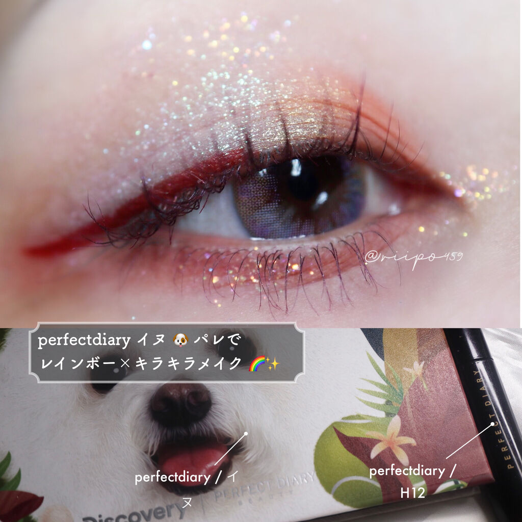 エクスプローラ12色 動物アイシャドウパレット/PERFECT DIARY/アイシャドウパレットを使ったクチコミ（1枚目）