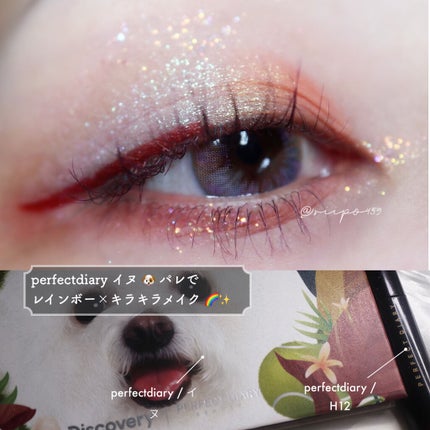 エクスプローラ12色 動物アイシャドウパレット/PERFECT DIARY/アイシャドウパレットを使ったクチコミ(1枚目)