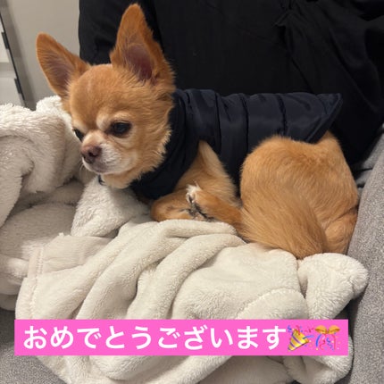 ヴェルニ/CHANEL/マニキュアを使ったクチコミ(6枚目)