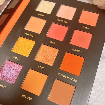 星空12色アイシャドウパレット/VCND/アイシャドウパレットを使ったクチコミ(3枚目)