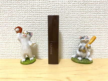 リップカラーシールド/CEZANNE/口紅を使ったクチコミ(1枚目)