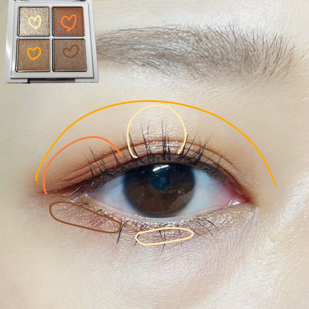 アイパレット 03 スパイシーオレンジ/sopo/アイシャドウパレットを使ったクチコミ（2枚目）