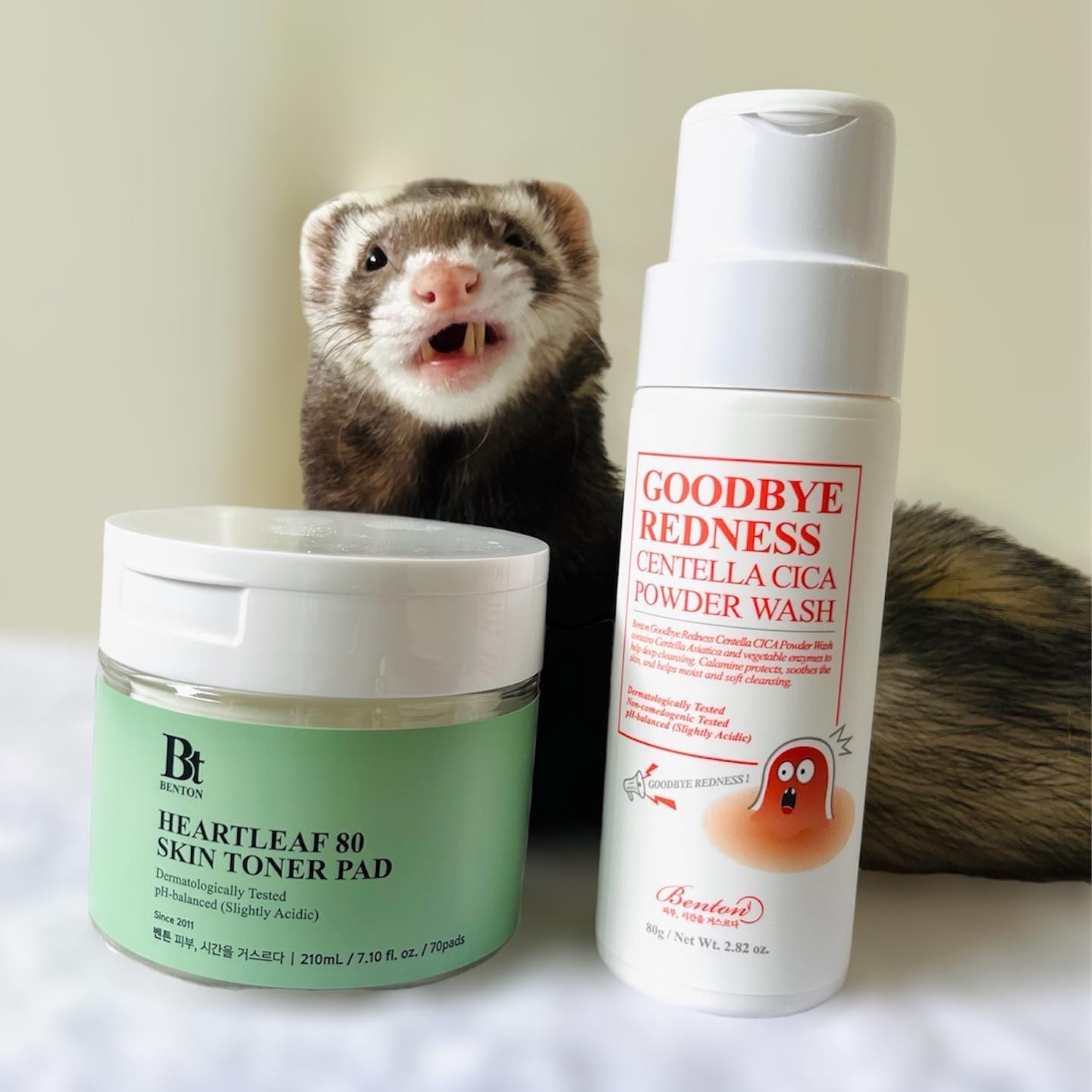 グッバイレッドネス センテラ パウダーウォッシュ 80g/BENTON/洗顔パウダーを使ったクチコミ（1枚目）