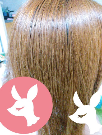 THE BEAUTY 髪ã®ãã¡çŸå®¹ã·ã£ã³ããŒïŒã³ã³ãã£ã·ã§ããŒïŒã¢ã€ã¹ããªãã¢ïŒ /ãšãã»ã³ã·ã£ã«/åžè²©ã·ã£ã³ããŒã䜿ã£ãã¯ãã³ãïŒ5æç®ïŒ