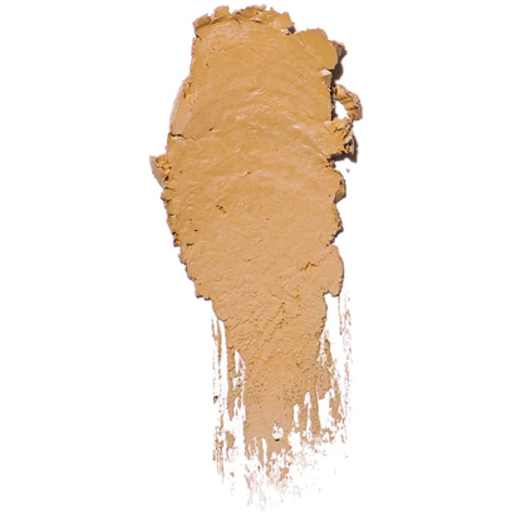 スキン ファンデーション スティック 4.75 ゴールデンナチュラル