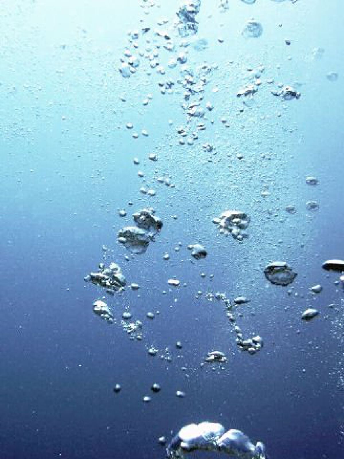 MILK PROTEIN脂肪0 ココア風味 200ml/ザバス/その他プロテインを使ったクチコミ（3枚目）