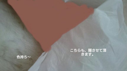 マラカスパパイヤ乳酸菌 on LIPS 「マラカスパパイヤ乳酸菌です!皆さん晩ご飯何食べますか?✌️主は..」(4枚目)