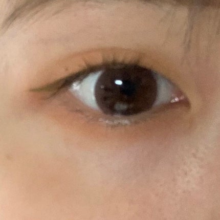 シルキーリキッドアイライナーWP/D-UP/リキッドアイライナーを使ったクチコミ(2枚目)