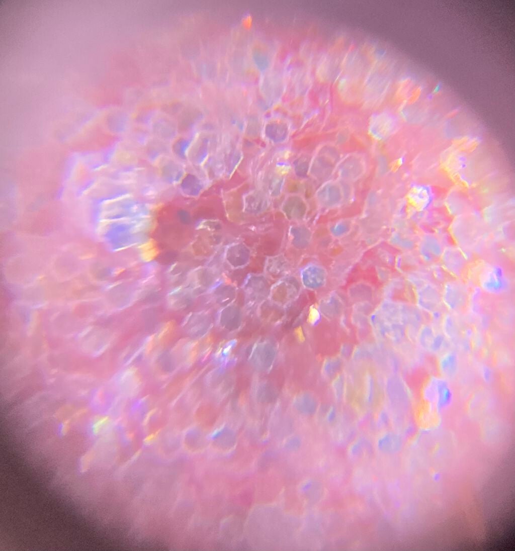 ベターザンパレット/rom&nd/アイシャドウパレットを使ったクチコミ(9枚目)