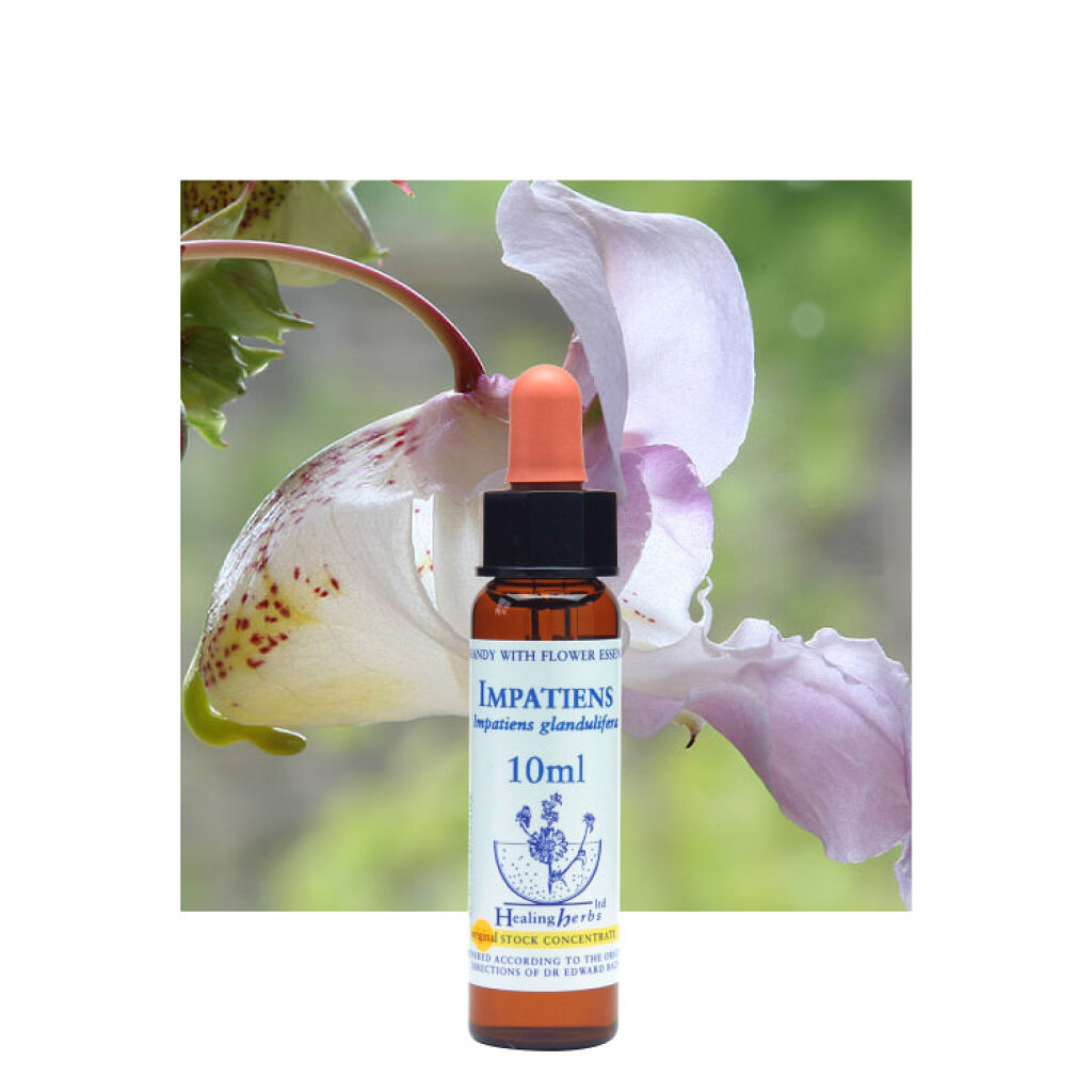 ヒーリングハーブフラワーエッセンス インパチェンス