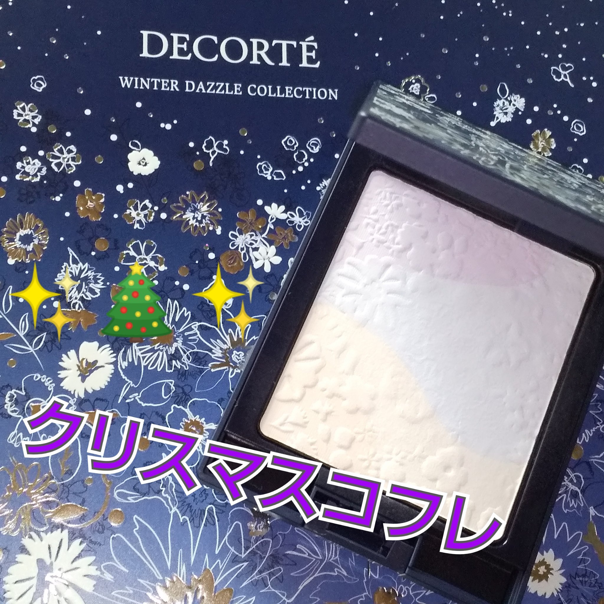 ウィンターダズル コレクション/DECORTÉ/メイクアップキットを使ったクチコミ（1枚目）