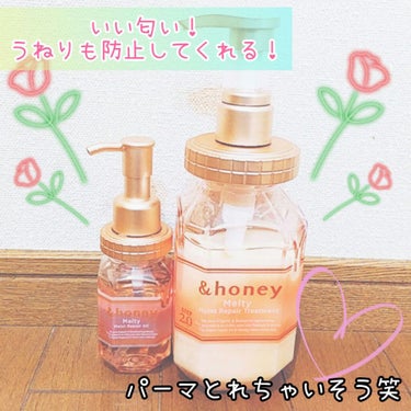 &honey Melty モイストリペア シャンプー1.0／モイストリペア ヘアトリートメント2.0/&honey/シャンプー・コンディショナーを使ったクチコミ（1枚目）