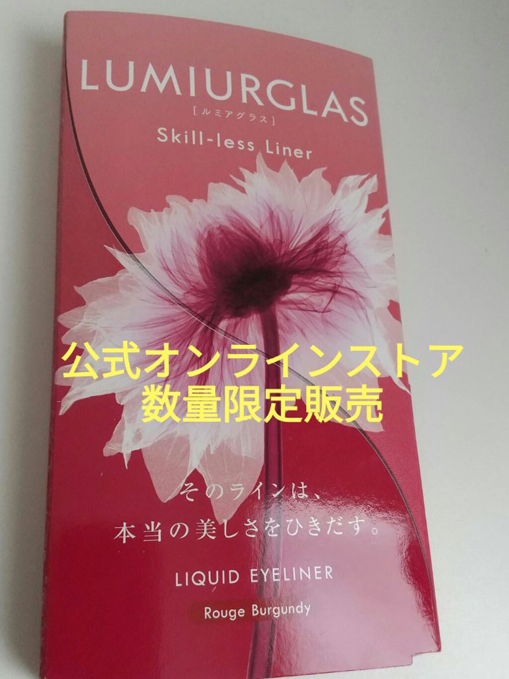 スキルレスライナー/LUMIURGLAS/リキッドアイライナーを使ったクチコミ(1枚目)