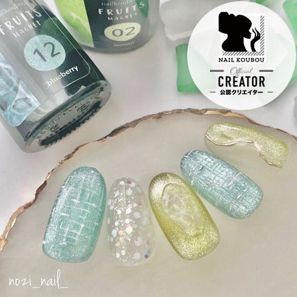 nozi𓆉𓂃 𓈒𓏸◌ on LIPS 「ネイル工房さんから新商品
【フルーツマグネットジェル】
が発売..」(1枚目)
