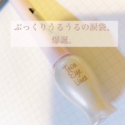 ティアー アイライナー/ETUDE/リキッドアイライナーを使ったクチコミ(1枚目)