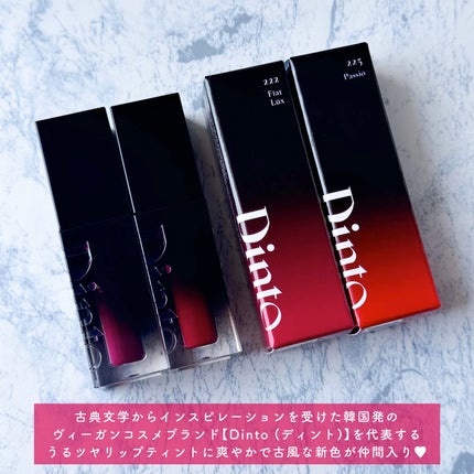 ブラーグロイリップティント/Dinto/リップティントを使ったクチコミ(2枚目)