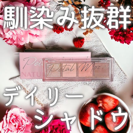 デイリーベーシックパレット/ネイチャーリパブリック/アイシャドウパレットを使ったクチコミ(1枚目)