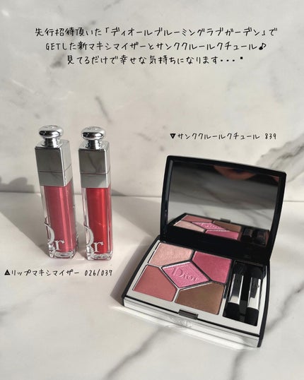 【旧】サンク クルール クチュール/Dior/アイシャドウパレットを使ったクチコミ(8枚目)