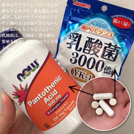 PantothenicAcid 500mg/Now Foods/健康サプリメントを使ったクチコミ(4枚目)