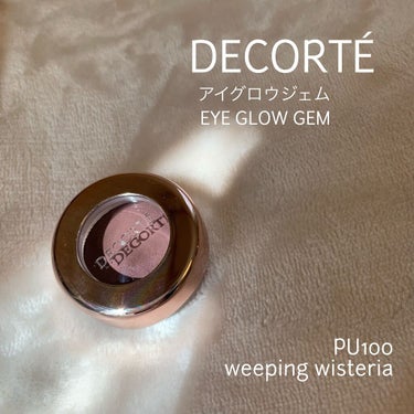 \藤の花のような透け感パープルシャドウ/

こんにちは、yukaです🐰

今回紹介するのは、春の新色🌸

コスメデコルテ
アイグロウジェム 
PU100 weeping wisteria

weepin