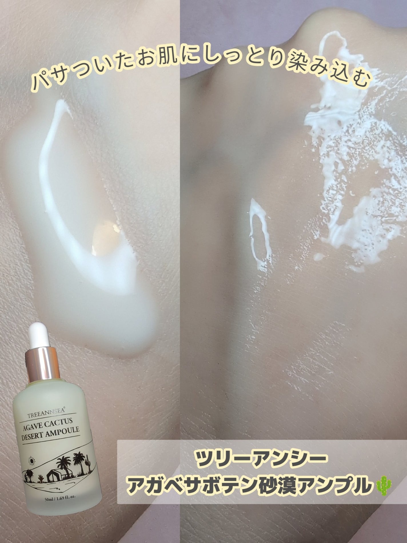 アガベ カクタス デザート アンプル/ツリーアンシー/美容液を使ったクチコミ(4枚目)