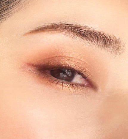 クチュール カラー クラッチ コレクター/YVES SAINT LAURENT BEAUTE/アイシャドウパレットを使ったクチコミ(3枚目)