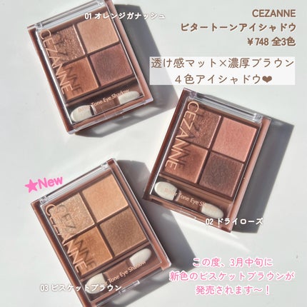 ビタートーンアイシャドウ/CEZANNE/パウダーアイシャドウを使ったクチコミ(2枚目)