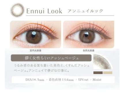 エバーカラーワンデーナチュラル モイストレーベルUV アンニュイルック/エバーカラー/ワンデー(1DAY)カラコンの画像