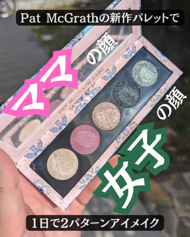 PAT McGRATH LABS Celestial Nirvana Eye Shadow Paletteのクチコミ「【ママの顔、女子の顔】

今日は、
午前→学校説明会
午後→親友と飲み会

だったので、午前と.....」（1枚目）