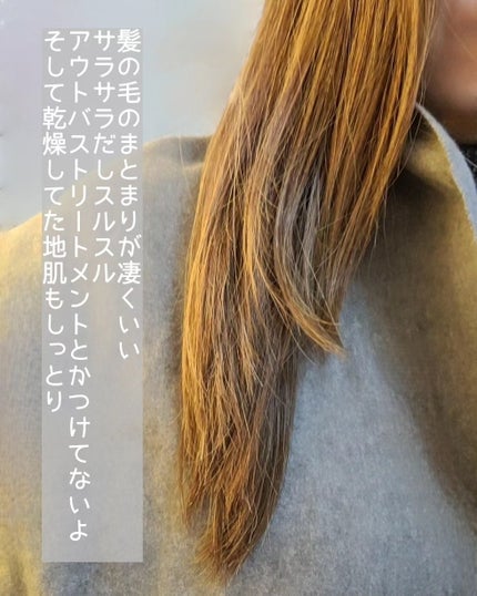 アンプルトリートメント/PLAY HAIR PRODUCTS/アウトバストリートメントを使ったクチコミ(6枚目)