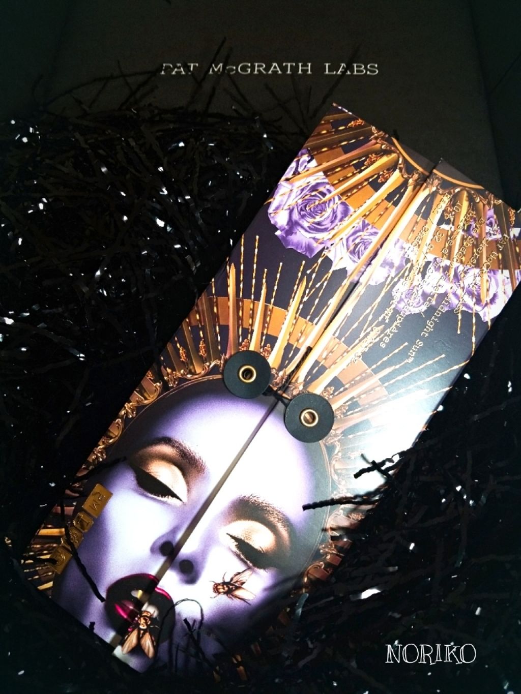 MOTHERSHIP PALETTES/PAT McGRATH LABS/アイシャドウパレットを使ったクチコミ(1枚目)