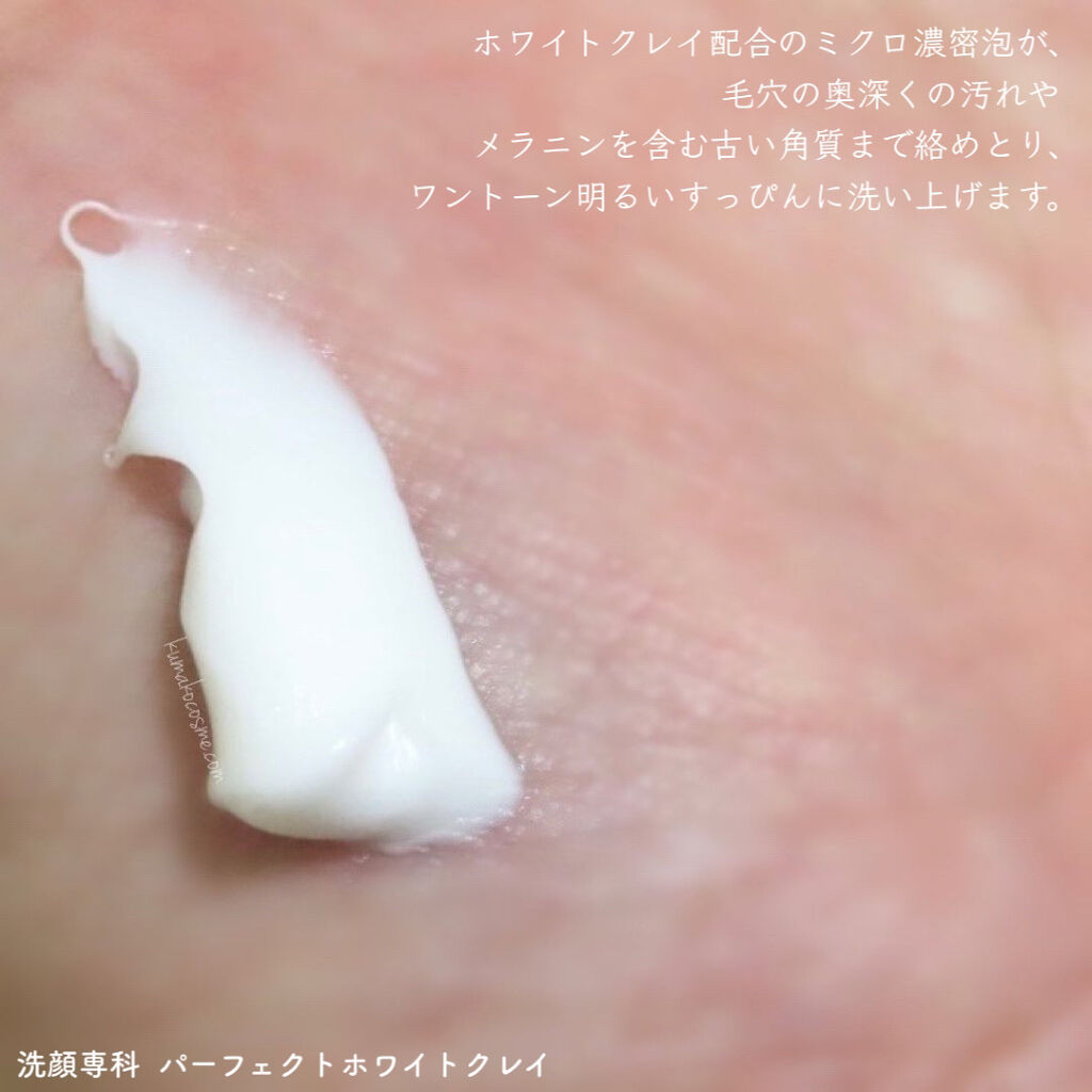 パーフェクトホワイトクレイ/SENKA（専科）/洗顔フォームを使ったクチコミ（3枚目）