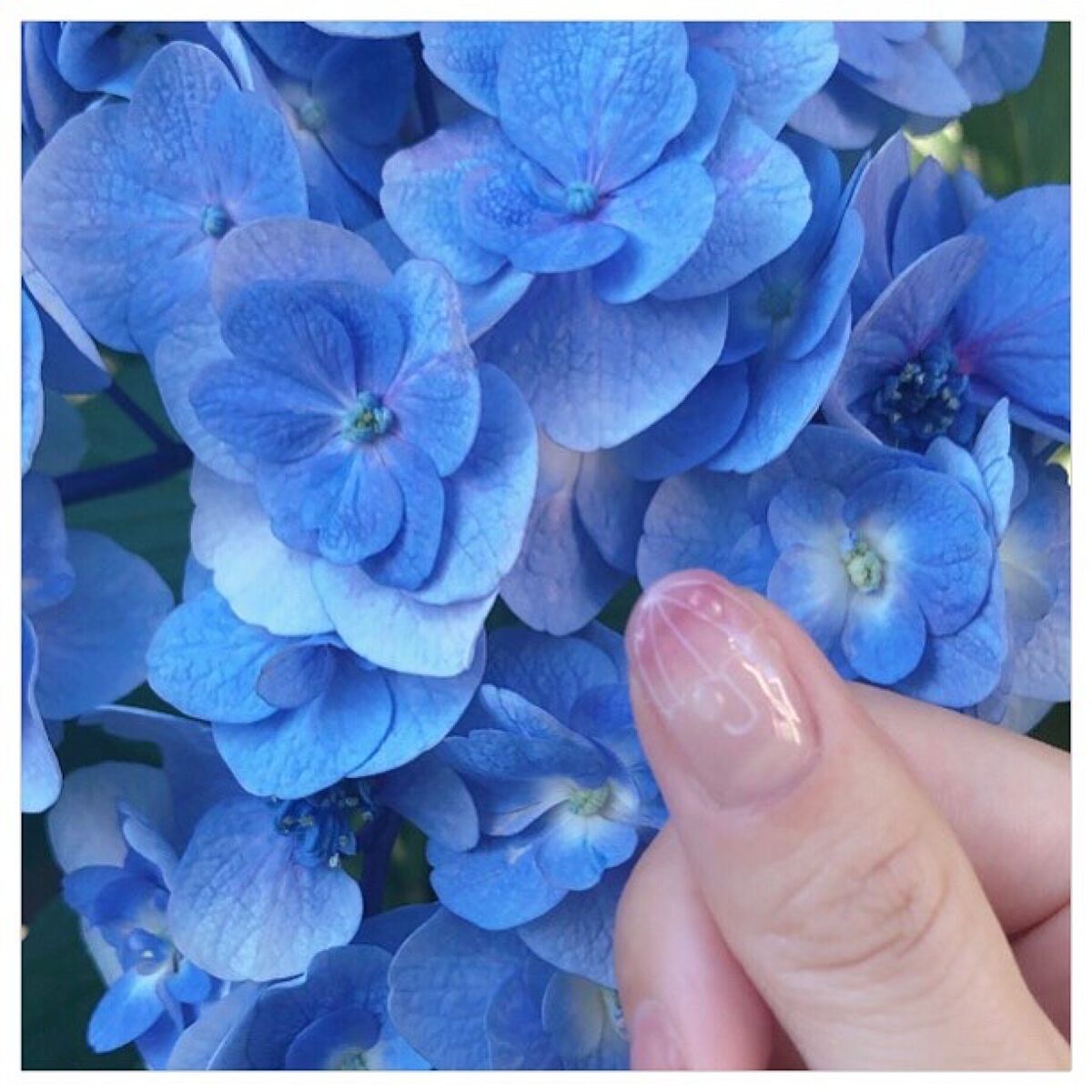 ウィークリージェル/HOMEI/ジェルネイルを使ったクチコミ(5枚目)