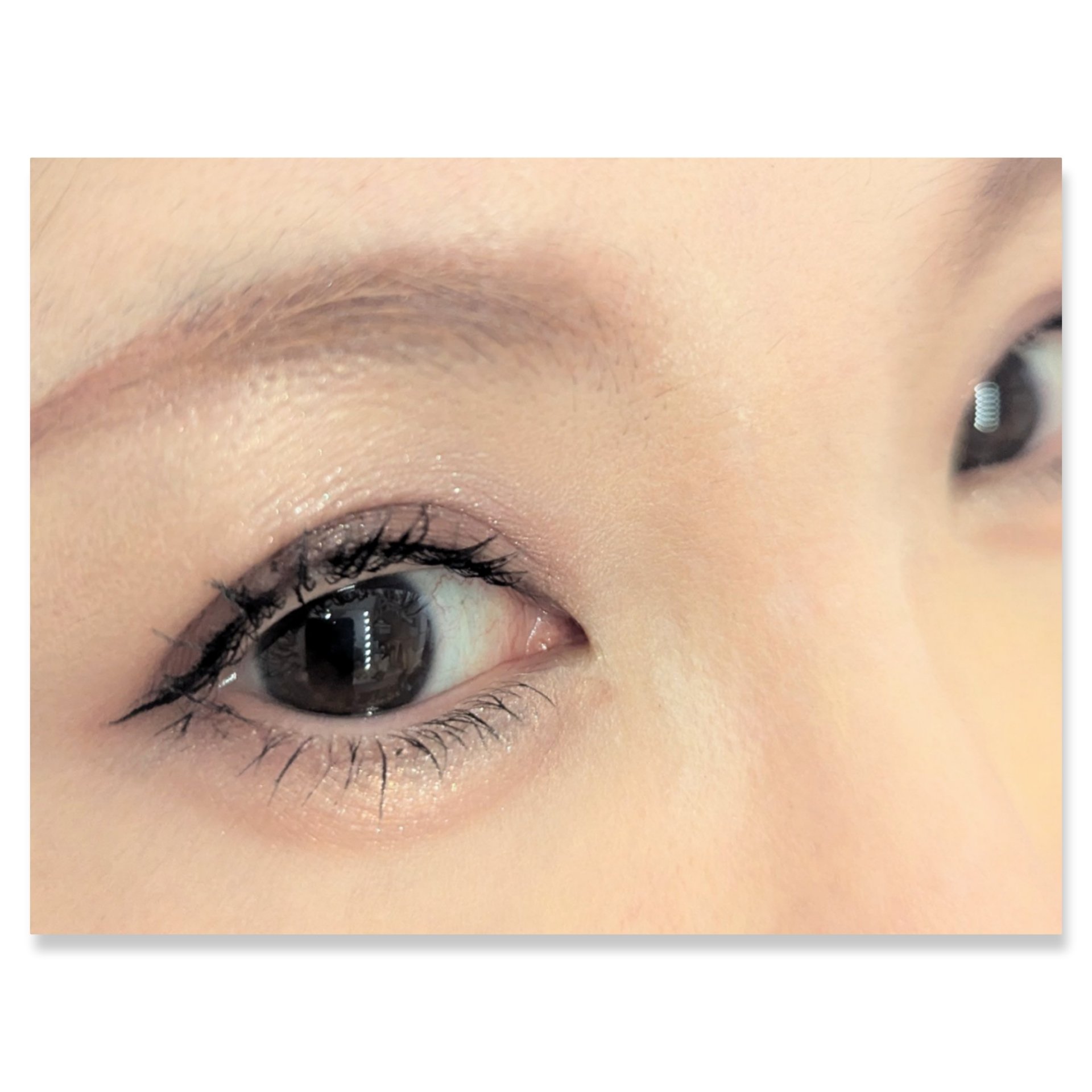 バーチャルアイズメイカー RD-1 ヨカン/KATE/アイシャドウパレットを使ったクチコミ（2枚目）