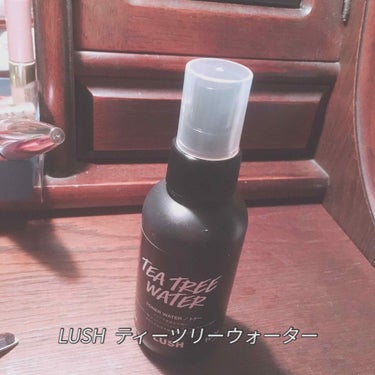 *LUSH ティーツリーウォーター100g ¥1186

背中ニキビ用に使っています。
よくなってきたような気がしてます。
ほんのりスースーして、夏のお風呂上がりにはぴったりです。
あと、スプレーボトル