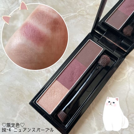 ヴィセ リシェ アイブロウパウダー/Visée/パウダーアイブロウを使ったクチコミ(7枚目)