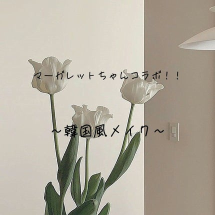 ノーセバム ミネラルパウダー/innisfree/ルースパウダーを使ったクチコミ(1枚目)