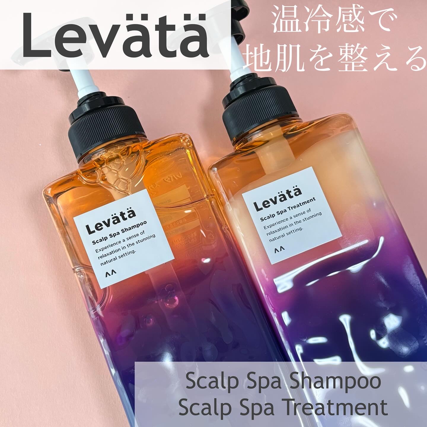 Levata
Scalp Spa Shampoo
Scalp Spa Treatment

この度Mimi beauty様のガチモニター企画に当選し
マンダム様よりスカルプスパシャンプーとトリートメントをいただきましたので
ご紹介させていた