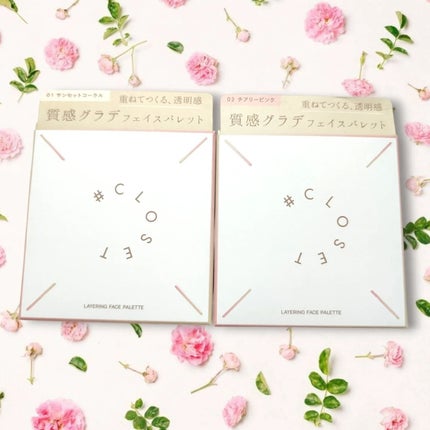 レイヤリングフェイスパレット/#CLOSET/パレットコンシーラーを使ったクチコミ(2枚目)
