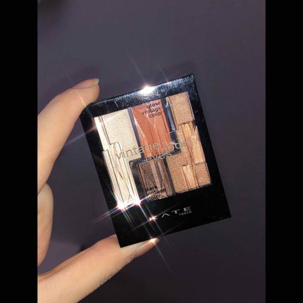 リシェ シマーリッチ アイズ/Visée/アイシャドウパレットを使ったクチコミ(2枚目)