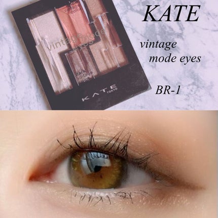 ヴィンテージモードアイズ/KATE/アイシャドウパレットを使ったクチコミ(1枚目)