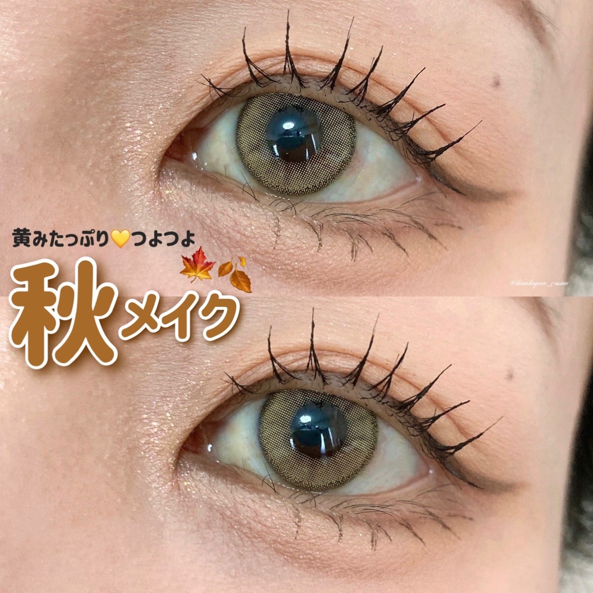 ベアシャドウパレット 03 ミディアム/フォレンコス/アイシャドウパレットを使ったクチコミ（1枚目）