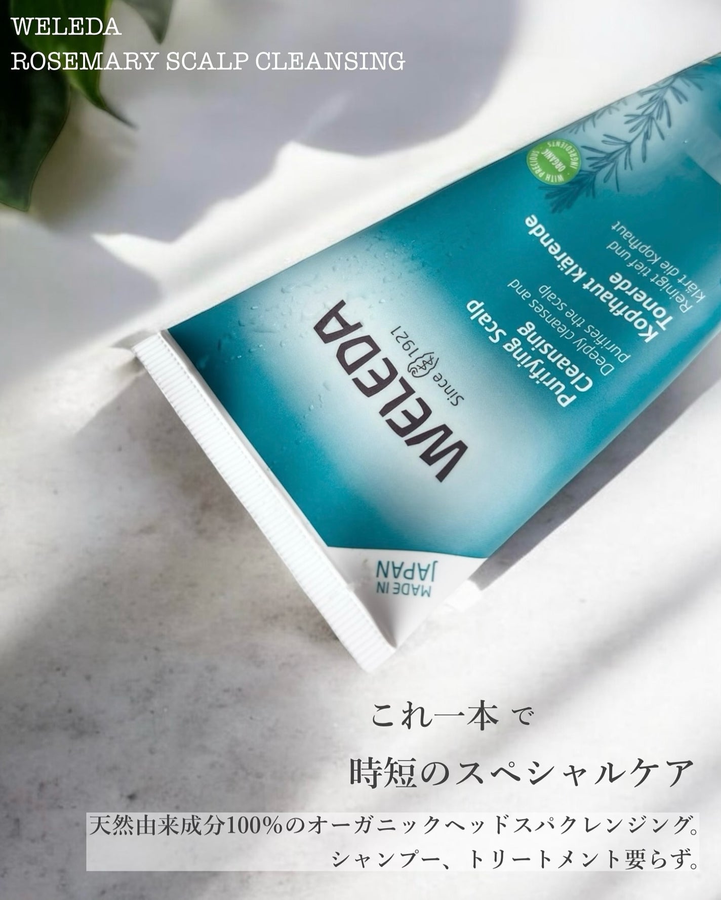 ローズマリー スカルプクレンジング/WELEDA/頭皮クレンジングを使ったクチコミ(2枚目)