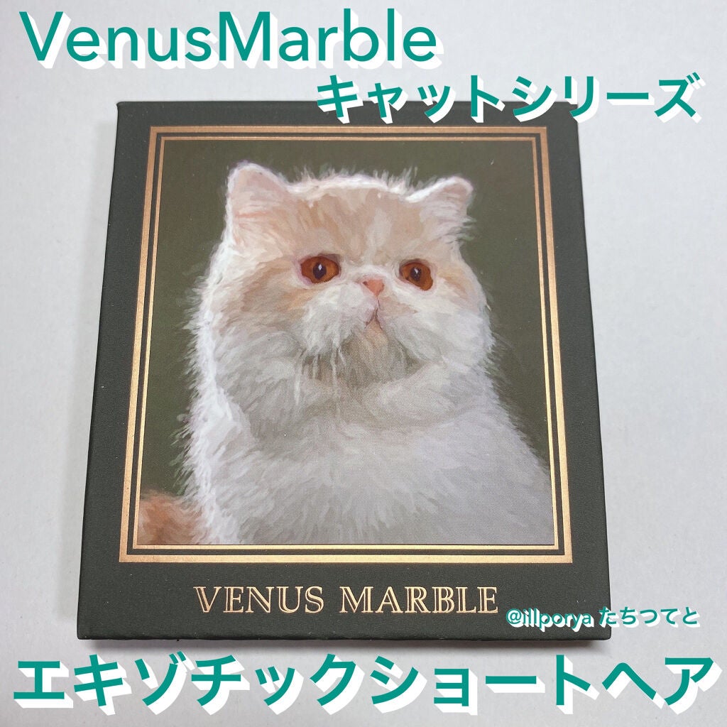 Venus Marble アイシャドウキャットシリーズ/Venus Marble/アイシャドウパレットを使ったクチコミ(1枚目)