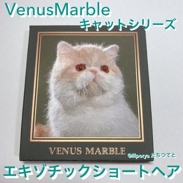 Venus Marble アイシャドウキャットシリーズ/Venus Marble/アイシャドウパレットを使ったクチコミ（1枚目）